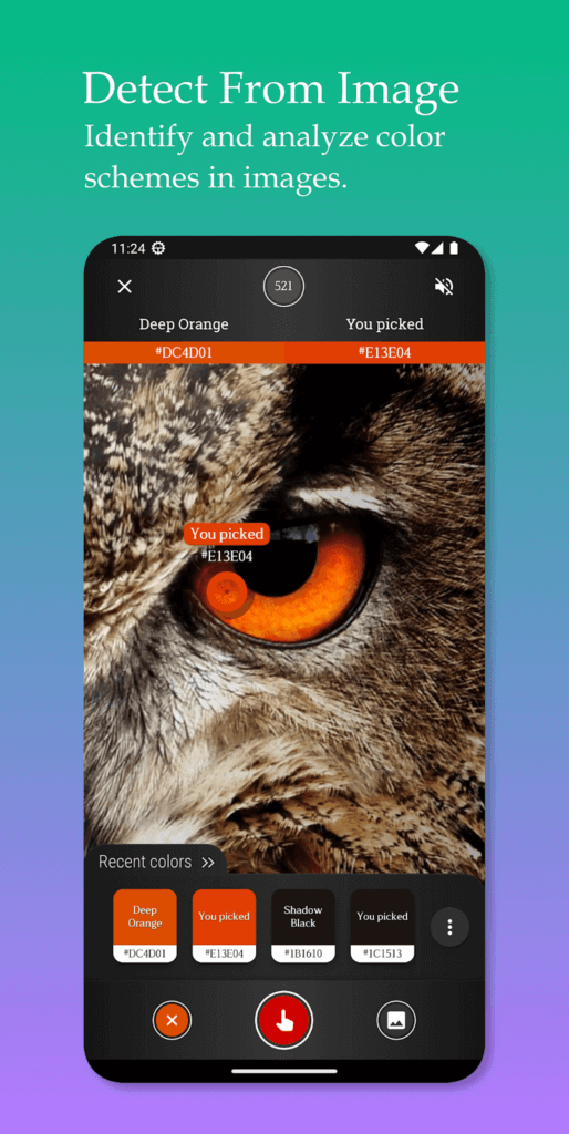 Color Detector